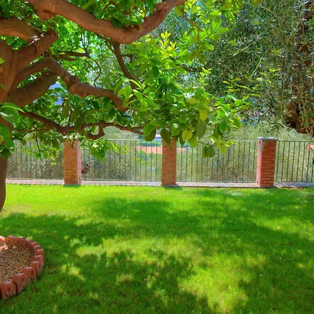 Luciana Guest house *