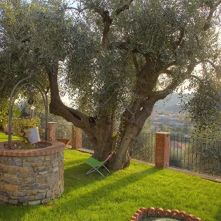Luciana Guest house Diano Castello